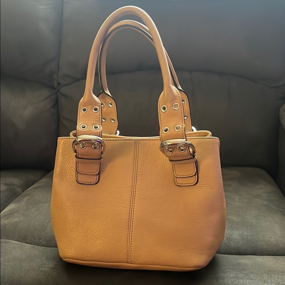 Tignanello Perfect 10 French Leather Tote Bag
